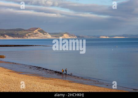 Hundespaziergänger am einsamen Strand. Im Herbst Sonnenschein. Lyme Regis. Dorset. England. Oktober 2021 Stockfoto