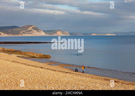 Hundespaziergänger am einsamen Strand. Im Herbst Sonnenschein. Lyme Regis. Dorset. England. Oktober 2021 Stockfoto