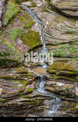 Fließende Wasserquellen im Carter Caves Resort State Park, Kentucky Stockfoto