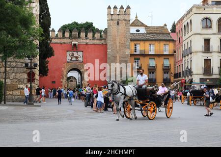 SEVILLA, SPANIEN - 21. MAI 2017: Dies ist das Löwentor zum Alcazar von Sevilla mit vielen Besuchern davor. Stockfoto