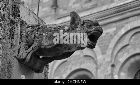 Selektive Fokusaufnahme eines uralten Gargoyles in Schwarz und Weiß Stockfoto