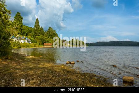 Loch ARD an einem Sommertag im Loch Lomond und Trossachs National Park, Schottland Stockfoto