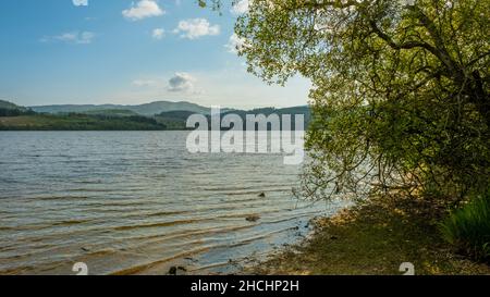 Loch ARD an einem Sommertag im Loch Lomond und Trossachs National Park, Schottland Stockfoto