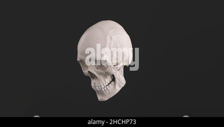 Menschlicher Schädel und Kieferknochen Seitenansicht Piratengift Horror Symbol Halloween Medizin. Anatomie und Medizin Konzeptbild. Stockfoto