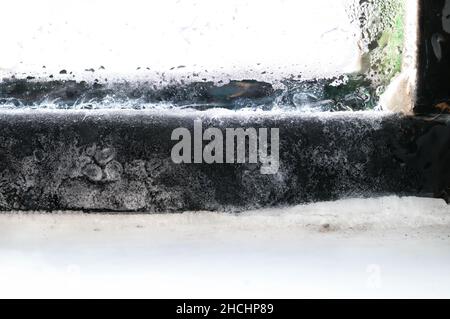 Gefrorener Fensterrahmen, Kondensation im Inneren, Nahaufnahme. Eisanbau auf schwarzem Metallfensterrahmen aufgrund von übermäßiger Feuchtigkeit oder Dampf im Haus und Freezi Stockfoto