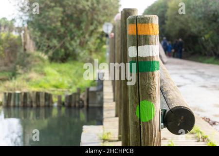 Nahaufnahme eines Holzpfosten mit Streifen in orange, weiß und grün. Stockfoto