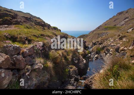 Soapy Cove, The Lizard, Cornwall Stockfoto