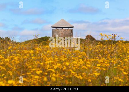 Windmill Farm auf der Halbinsel Lizard Stockfoto