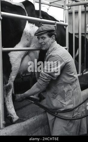 1960s, historisch, in einem Kuhschuppen, melkt ein Landwirt mit einer mechanisierten Melkpumpe, bekannt als Melker, England, Großbritannien. Stockfoto