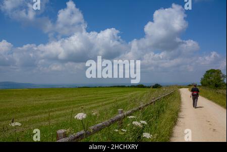 Spaziergang auf Laverton Hill, in der Nähe von Snowshill in den englischen Cotswolds Stockfoto