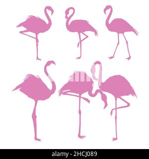 Flamingo Silhouette , Vektordatei des Vogels, Illustration Stock Vektor