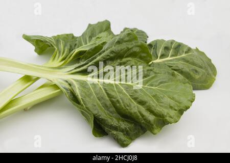 Nahaufnahme einiger grüner und frischer Blätter von Chard oder Swiss Chard (beta vulgaris subsp. Vulgaris), die auf weißem Hintergrund isoliert sind Stockfoto