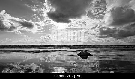 am Strand Stockfoto