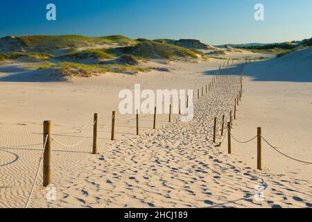 Dünen im Slowinski Nationalpark, Polen. Stockfoto