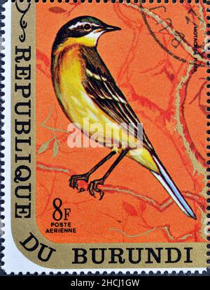 Abgesagte Briefmarke gedruckt von Burundi, die Western Yellow Wagtail zeigt, um 1971. Stockfoto