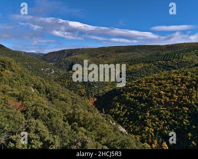 Panoramablick auf den westlichen Teil der wunderschönen Schlucht Gorges de la Nesque in den Vaucluse Bergen in der Provence, Frankreich an sonnigen Tag im Herbst. Stockfoto