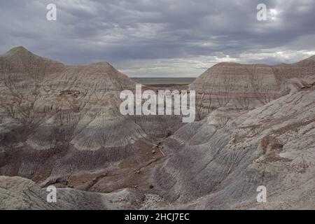 Erodierte Schlammsteinschichten im Blue Mesa, Petrified Forest National Park im Nordosten von Arizona, USA Stockfoto