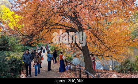 Wunderschöne Aussicht auf farbenfrohe Herbstblätter während der Herbstfärbung im Central Park in New York City Stockfoto