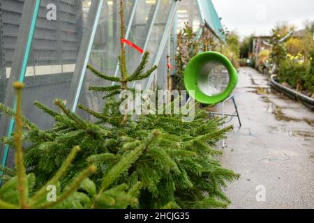 Weihnachtsbaum-Wickelvorrichtung verpackt in einem Plastiknetz Stockfoto