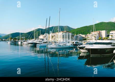 Jachten werden an einem Pier nahe der Küste mit Clubhäusern in Porto Montenegro festgemacht Stockfoto