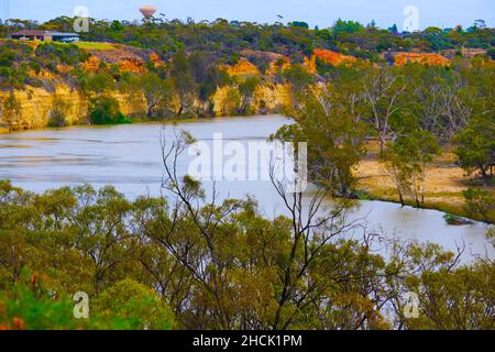 Holder Bend am Fluss Murray in der Nähe von Waikerie in Südaustralien Stockfoto