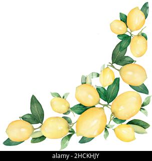 Zitronenfrüchte Kranz Clipart, Aquarell Eco gesunde Ernährung Illustration, Citrus Fruit Border Clip Art, Tropical Lemon Rahmen, exotische Lebensmittel Stockfoto