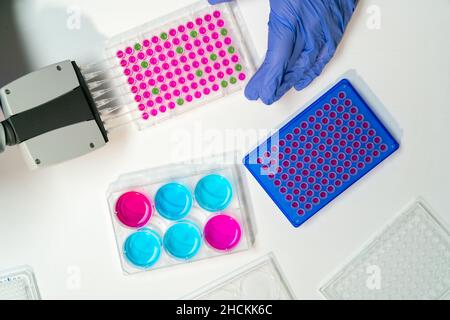 DNA-Proben sind in 96-Well-Platte für die PCR Analyse geladen. Stockfoto