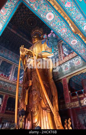 Peking, 24/02/2019. Majestätische Holzstatue von Maitreya, 26 Meter hoch, 8 davon unterirdisch, aus einem einzigen Block aus weißem Sandelholz geschnitzt Stockfoto