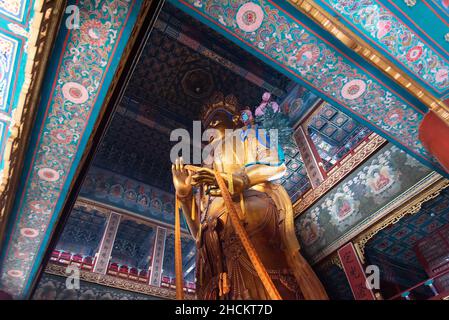 Peking, 24/02/2019. Majestätische Holzstatue von Maitreya, 26 Meter hoch, 8 davon unterirdisch, aus einem einzigen Block aus weißem Sandelholz geschnitzt Stockfoto