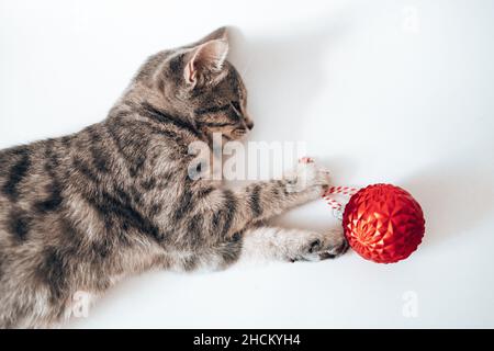 Niedliches kleines graues Kätzchen schläft mit roten Zierkugeln auf einem Sofa unter einer weißen weichen Decke. Frohe Weihnachten und einen guten Rutsch ins neue Jahr. Stockfoto