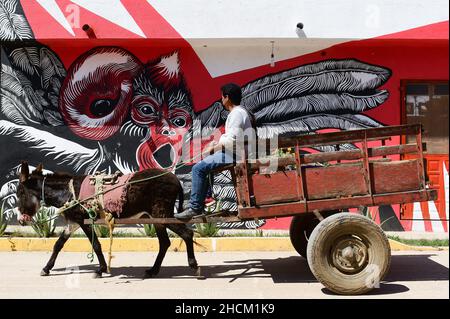 San Martin Tilcajete, Mexiko. 01st. November 2021. Ein Mann reitet auf einem Eselskarren an einem Graffito vorbei. Quelle: Sebastian Kahnert/dpa-Zentralbild/dpa/Alamy Live News Stockfoto