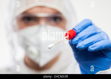 Weibliche medizinische Mitarbeiterin mit Wattestäbchen-Probenstab zum Sammeln von nasalen oder oralen Patientenproben, Nasen- oder Rachenuntersuchungen zum Nachweis Stockfoto