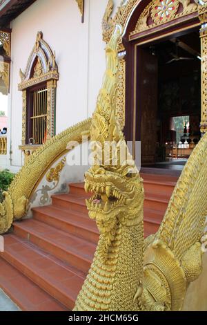 Vertikale Aufnahme eines vergoldeten Drachens vor dem buddhistischen Tempel Wat Chiang Mai. Stockfoto