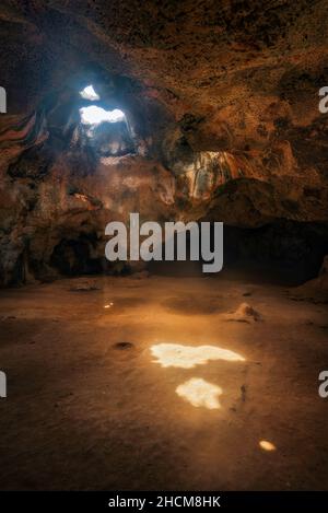 Ein Oberlicht beleuchtet eine Kammer der Guadirikiri-Höhlen im Arikok-Nationalpark von Aruba. Stockfoto