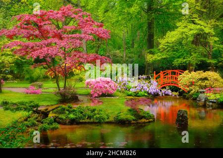 Japanischer Garten, Park Clingendael, Den Haag, Niederlande Stockfoto