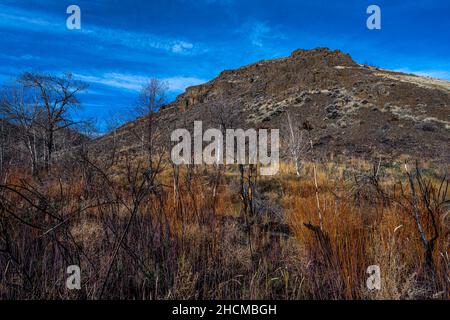 Entlang des Umtanum Creek Trail, WA Stockfoto