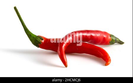 Zwei rote Chilischoten auf weißem Hintergrund isoliert. Getrocknete Paprika zum Kochen Stockfoto