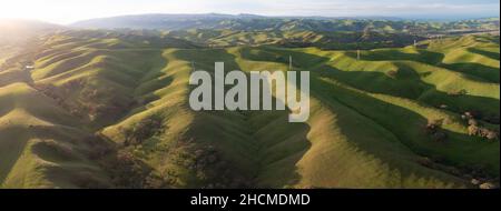 Helles Morgenlicht scheint auf grünen, grasbedeckten Hügeln in der Tri-Valley-Region von Nordkalifornien, östlich der San Francisco Bay. Stockfoto