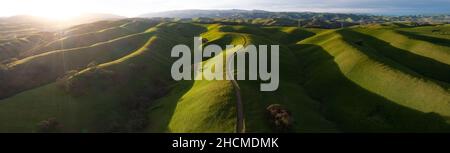 Helles Morgenlicht scheint auf grünen, grasbedeckten Hügeln in der Tri-Valley-Region von Nordkalifornien, östlich der San Francisco Bay. Stockfoto