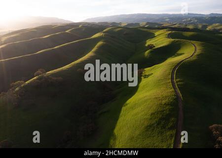 Helles Morgenlicht scheint auf grünen, grasbedeckten Hügeln in der Tri-Valley-Region von Nordkalifornien, östlich der San Francisco Bay. Stockfoto