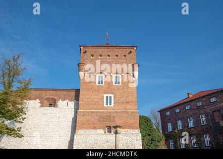 Wawel Castle and Thieves Tower - Krakau, Polen Stockfoto