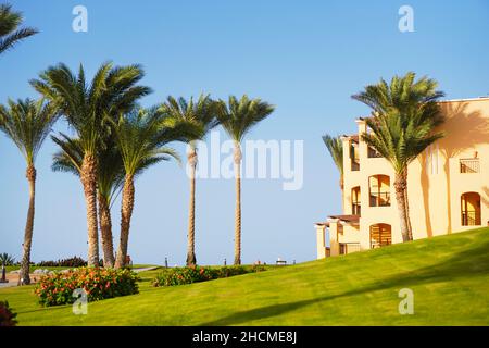 Ferienresort. Luxuriöses ägyptisches Hotel mit Palmen, perfektem grünen Rasen und klarem blauen Himmel. Stockfoto