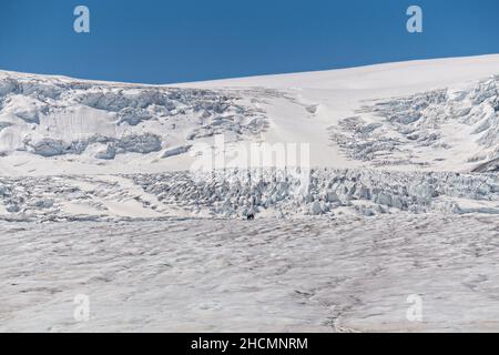 Auf dem riesigen Columbia Icefield und Athabasca Glacier am südlichen Rand des Jasper National Park in Alberta, Kanada, erscheinen Touristen winzig. Das Columbia Icefield ist das größte Eisfeld in den Rocky Mountains. Stockfoto