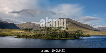 Die ruhige und verödete Pinieninsel in Derrylare Lough in der Gegend des Connemara National Park, Irland. Ein häufig fotografiertes Motiv in Irland. Stockfoto