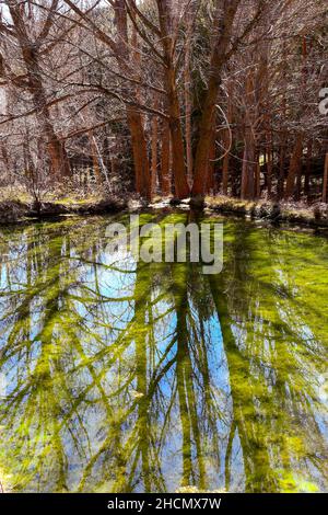 Naturpark Sierra de Baza in Granada, Andalusien - Spanien. Stockfoto