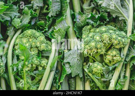 Cime di rapa, Rapini oder Brokkoli rabe auf einem Lebensmittelmarkt, grünes Kreuzgemüse, Gemüse, mediterrane Küche, Apulien, Italien Stockfoto