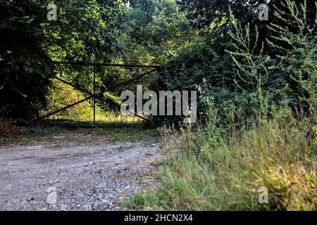 Tor blockiert einen Feldweg in einem Hain bei Sonnenuntergang Stockfoto