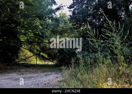 Tor blockiert einen Feldweg in einem Hain bei Sonnenuntergang Stockfoto