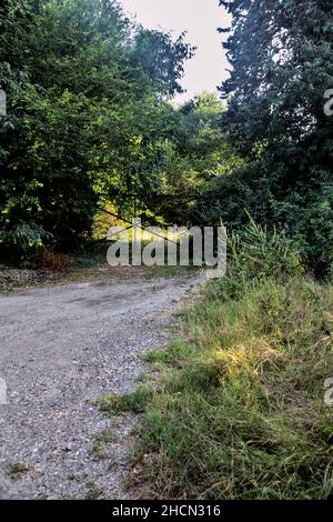 Tor blockiert einen Feldweg in einem Hain bei Sonnenuntergang Stockfoto