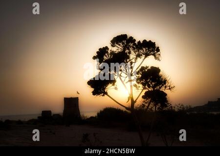 Torri ta 'Għajn Tuffieħa Beach, Malta, im August 2021 Stockfoto